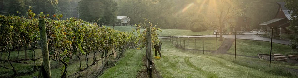 Paradise Springs Winery Home