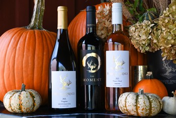 Thanksgiving Turkey Trio - 12 Pack